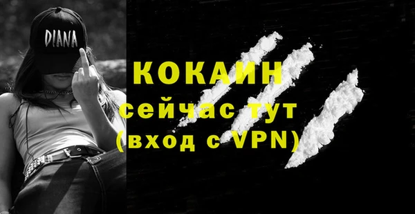 бошки Гусев