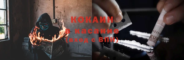 бошки Гусев