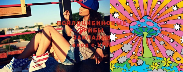 мдпв Гусиноозёрск